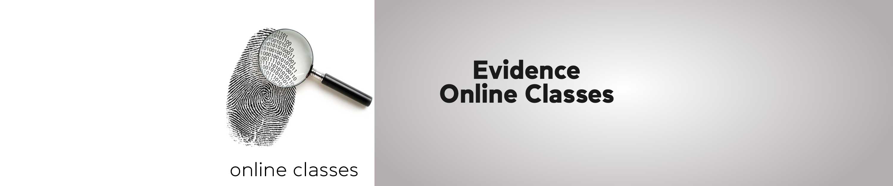 EVIDENCE ONLINE CLASSES